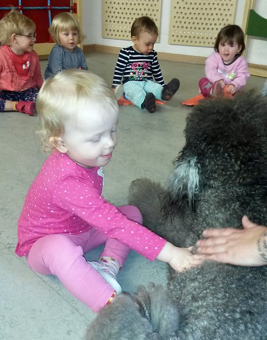 Hunde in der Kindervilla (Foto: Kindervilla Bad Frankenhausen)