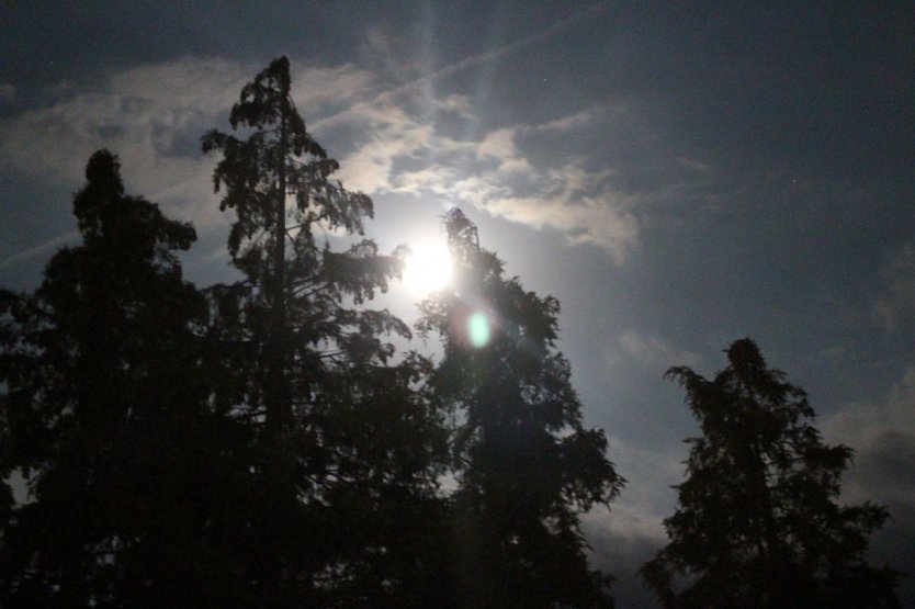 Wetterbild (Foto: Angelo Glashagel)