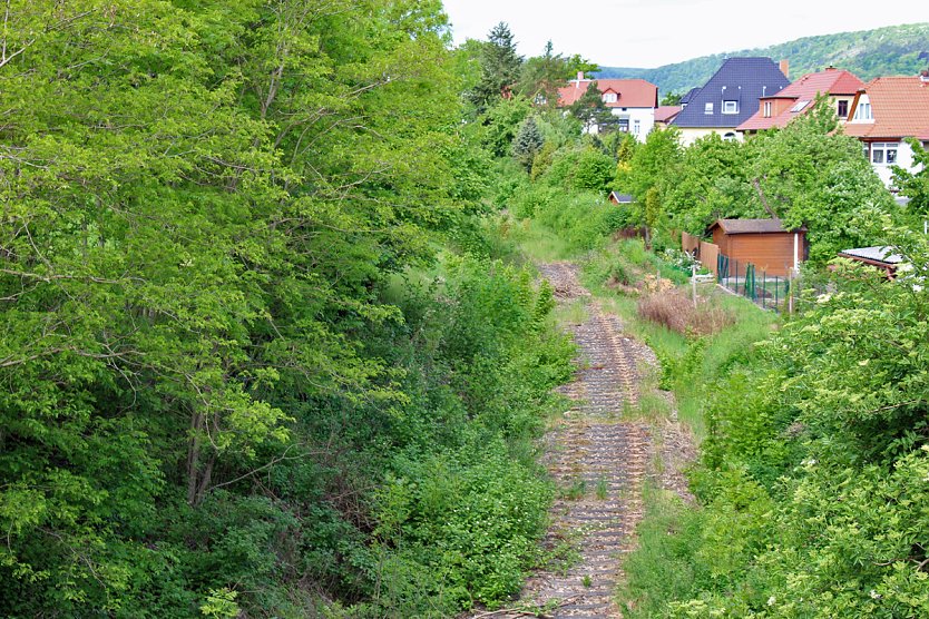 Neues vom Unstrut-Werra-Radweg (Foto: Karl-Heinz Herrmann) Neues vom Unstrut-Werra-Radweg (Foto: Karl-Heinz Herrmann)