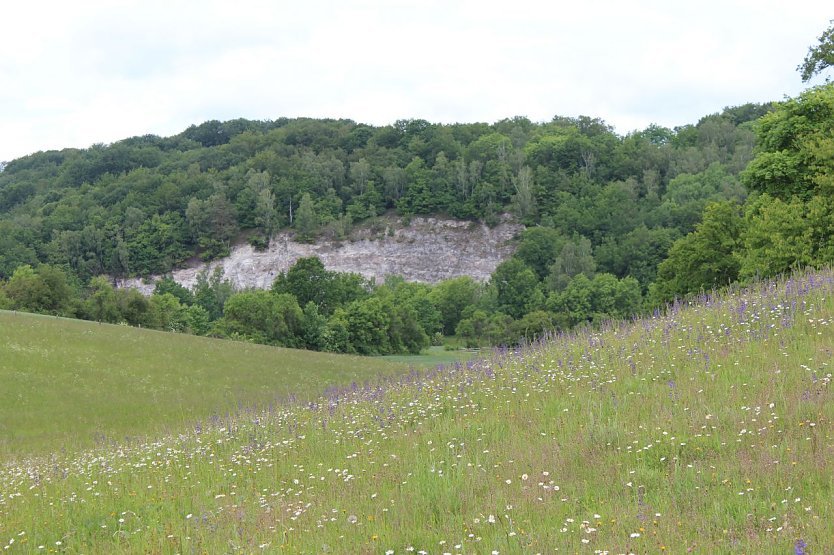 Exkursion in die R&uuml;digsdorfer Schweiz (Foto: Jessica Pieper)