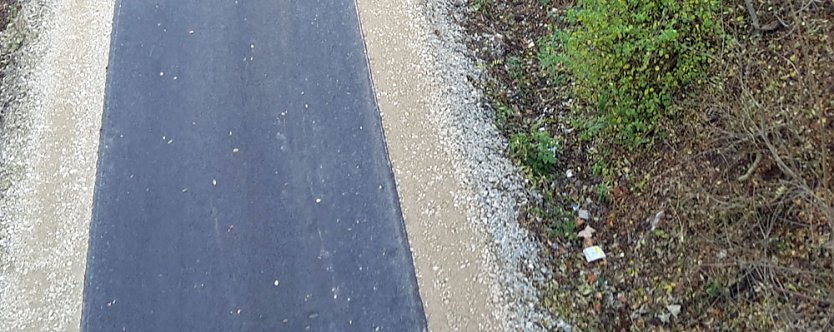 Massenwanderung auf dem Radweg (Foto: Karl-Heinz Herrmann)