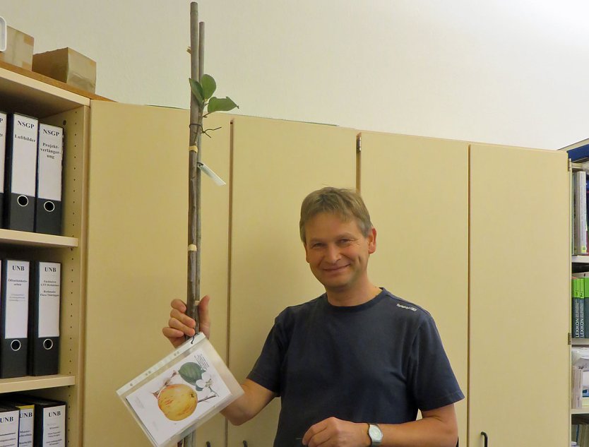 Selten gewordene Obstsorten gepflanzt (Foto: Hannlore Kutscha) Selten gewordene Obstsorten gepflanzt (Foto: Hannlore Kutscha)