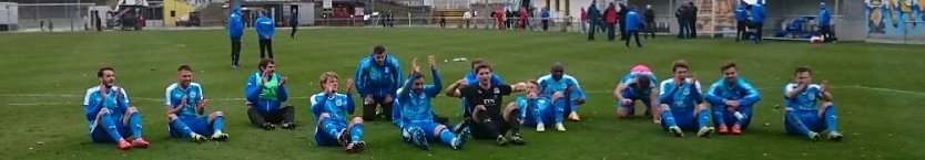 Einzug ins Halbfinale gefeiert (Foto: Harald Dressler)