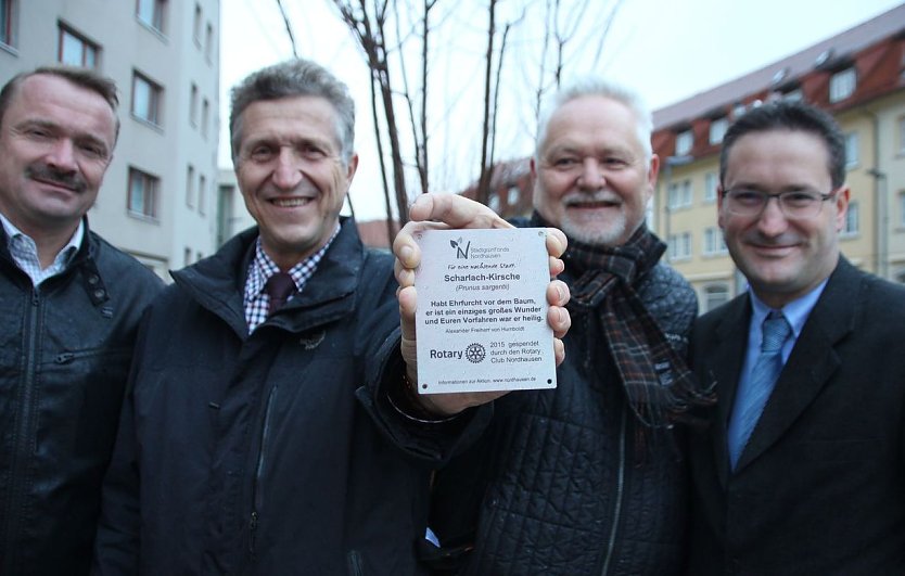 Plakette f&uuml;r 550 Euro (Foto: P. Grabe)