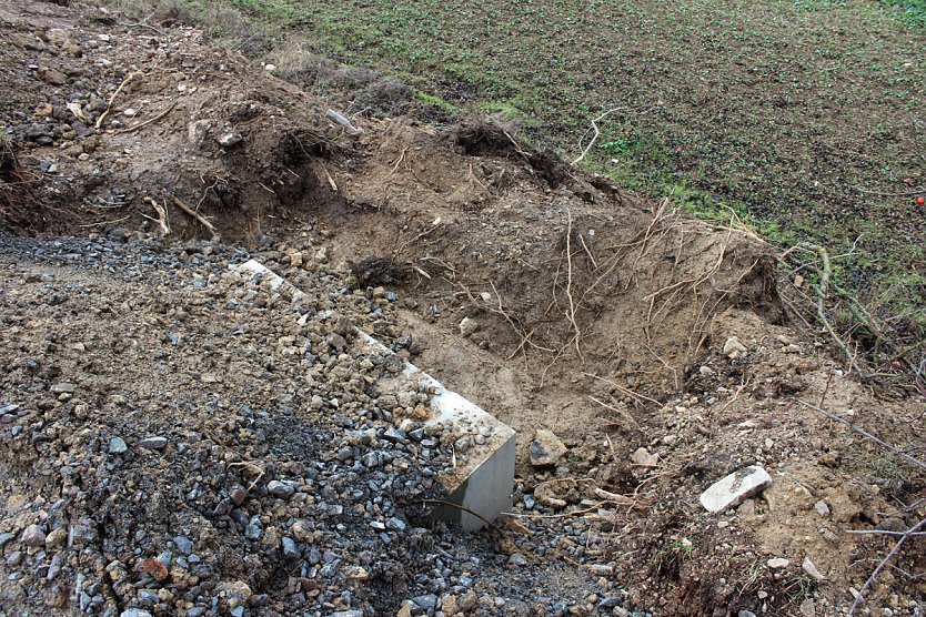 Tunnel f&uuml;r die Kr&ouml;ten (Foto: Karl-Heinz Herrmann)