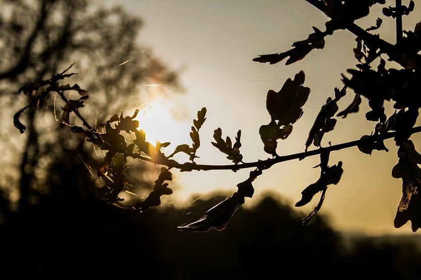 Wetter-Bild (Foto: Gernot Thelemann)