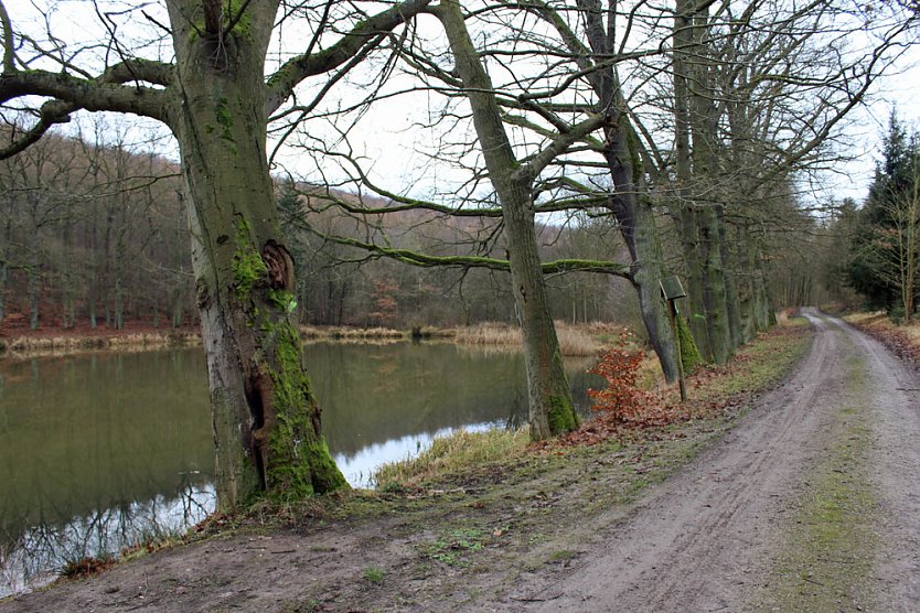 Br&uuml;ckental von Sondershausen meiden (Foto: Karl-Heinz Herrmann)