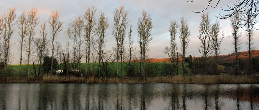 Kahlschlag um und hinterm Hammateich? (Foto: Karl-Heinz Herrmann)