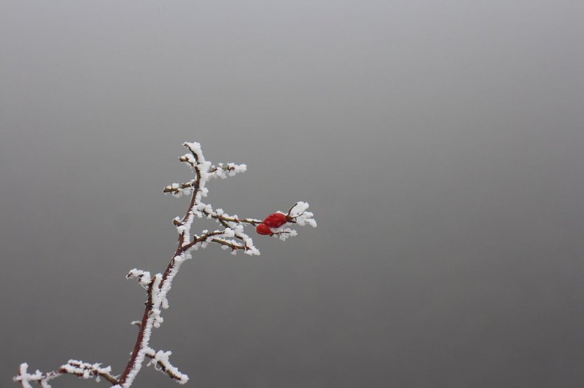 Wetterbild (Foto: Angelo Glashagel)