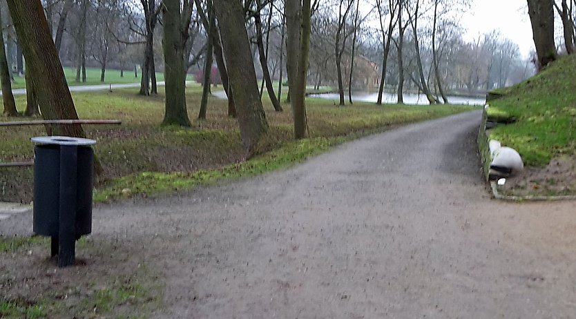 Nicht nur grüne Oasen (Foto: Privat) Nicht nur grüne Oasen (Foto: Privat)