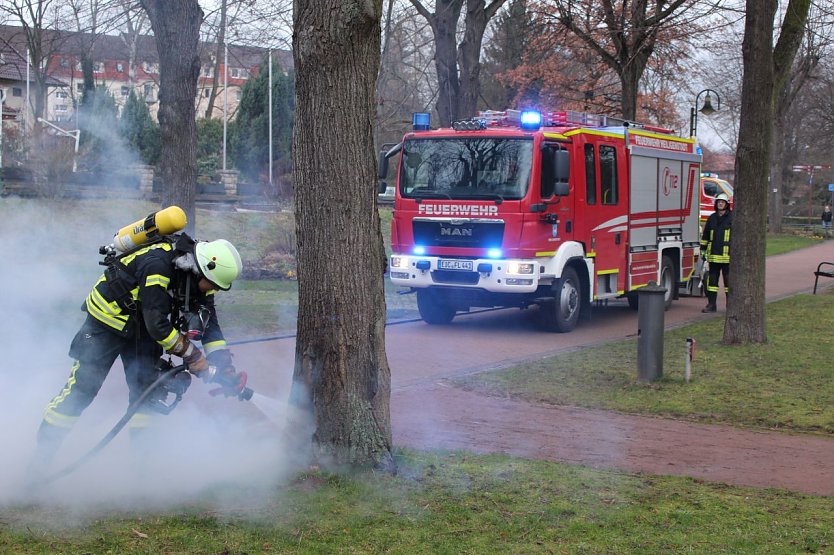 Baumbrand (Foto: Feuerwehr Heiligenstadt) Baumbrand (Foto: Feuerwehr Heiligenstadt)