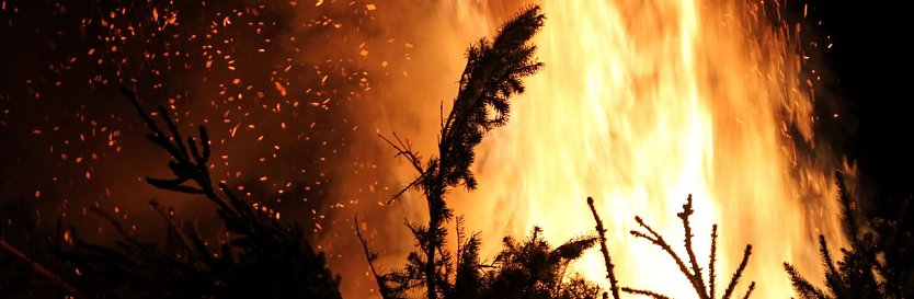 Knutfest in Heringen (Foto: Angelo Glashagel) Knutfest in Heringen (Foto: Angelo Glashagel)