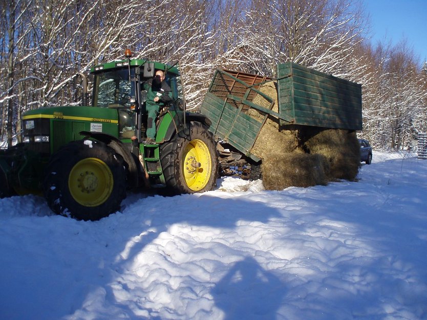 Anlieferung (Foto: Forstamt)