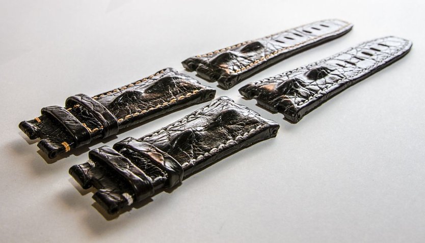 Krokodil am Arm (Foto: Zoll)