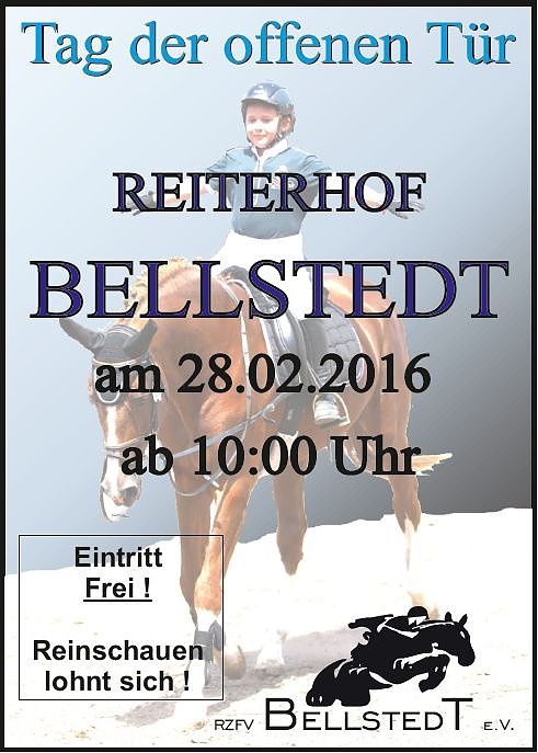 In einen Reitstall geschaut (Foto: Privat)