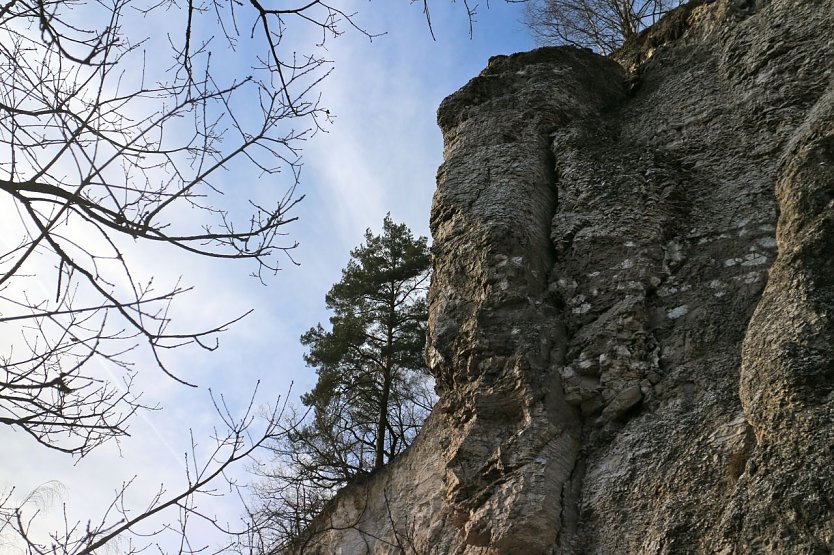 Gipskarstlandschaft bei R&uuml;digsdorf (Foto: Angelo Glashagel)
