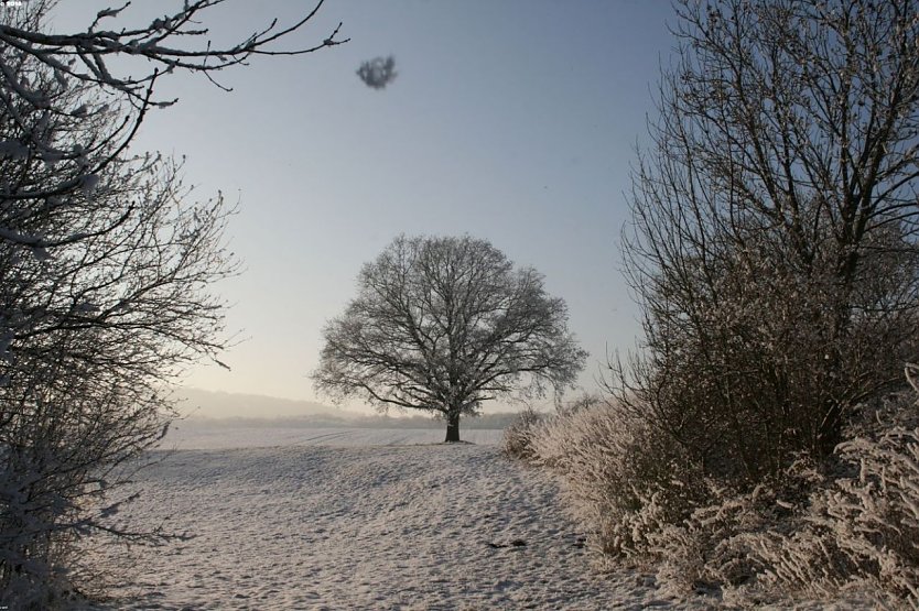 Wetterbild (Foto: Gernot Thelemann)