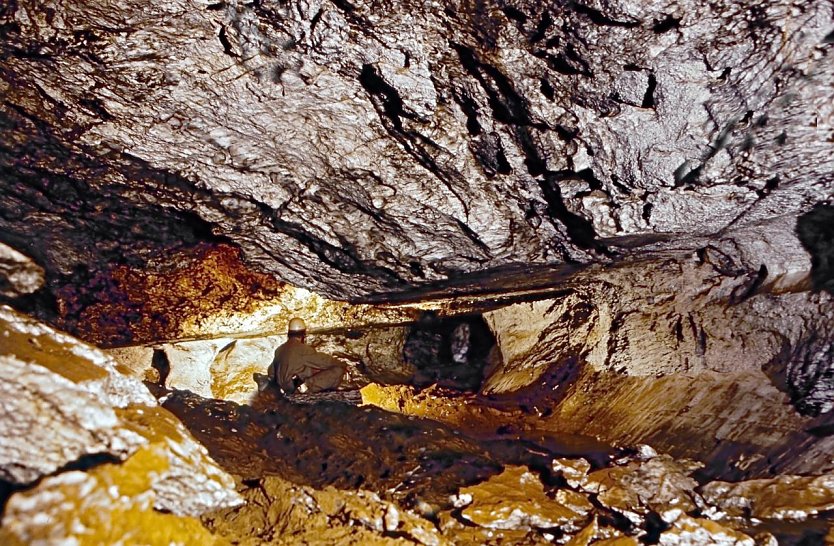 Ein Blick in die Numburgh&ouml;hle (Foto: Interessengemeinschaft Schloss Heringen)