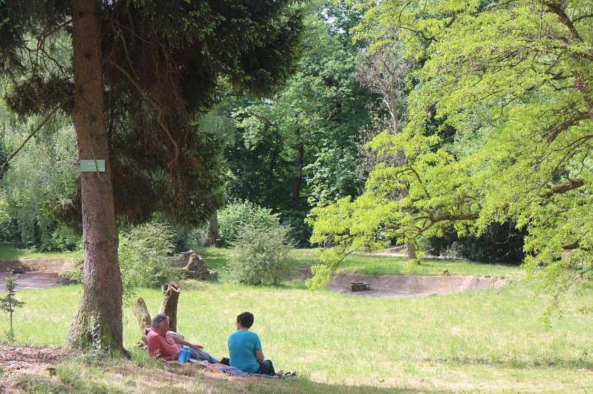 Erst die Arbeit - dann das Parkfest (Foto: Angelo Glashagel)