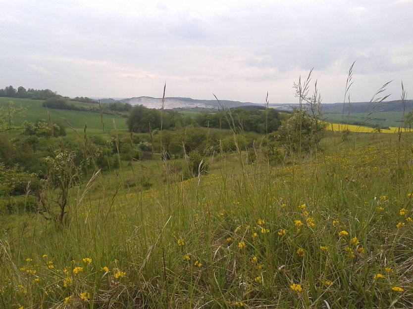 Blick zum Kohnstein (Foto: Bodo Schwarzberg)