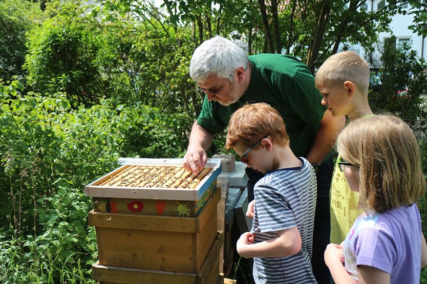 Olaf Hartung und seine Bienen AG begutachten ihre Völker (Foto: Angelo Glashagel) Olaf Hartung und seine Bienen AG begutachten ihre Völker (Foto: Angelo Glashagel)