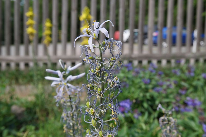 Wetter-Bild (Foto: nnz)