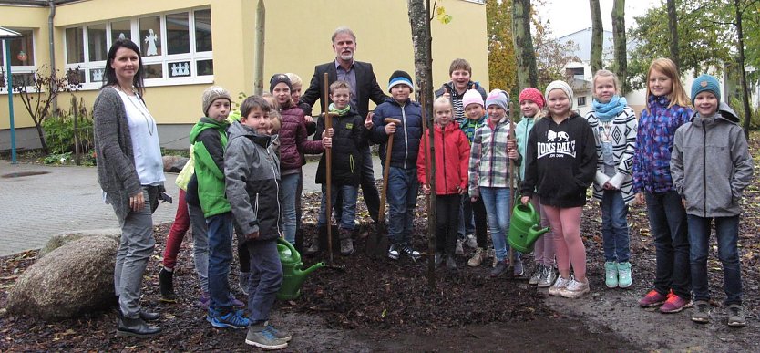 Neuer Schulhof (Foto: Pressestelle UHK)