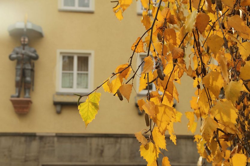 Wetterbild (Foto: Angelo Glashagel)