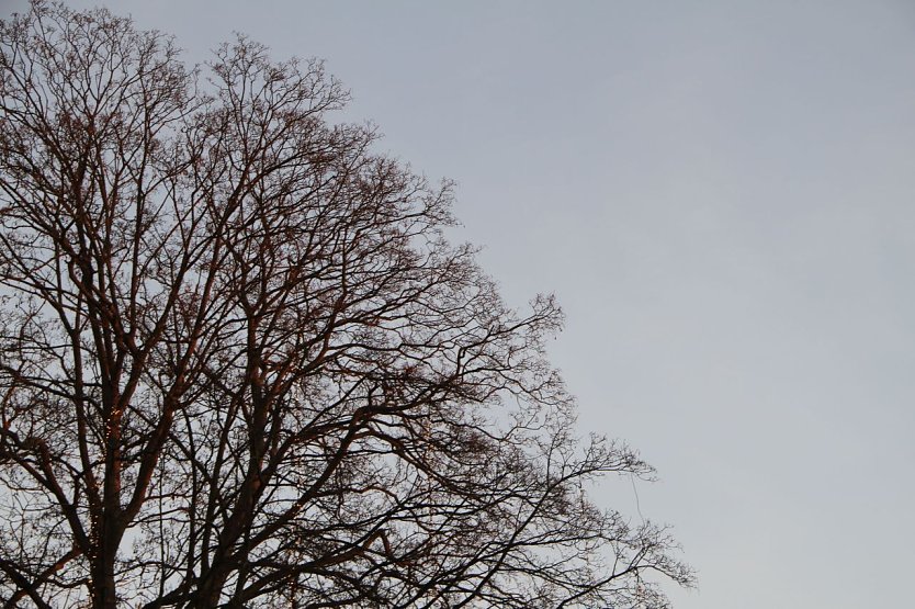 Wetterbild (Foto: Angelo Glashagel)