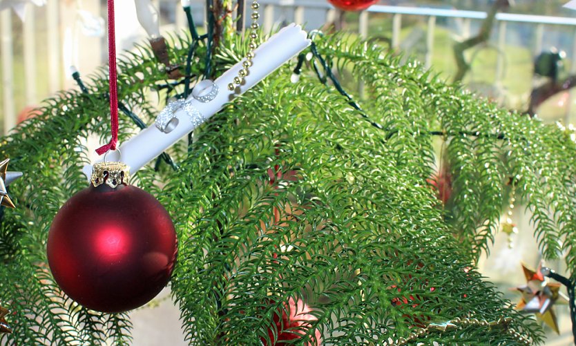 Der &ouml;kologischen Weihnachtsbaum (Foto: Karl-Heinz Herrmann)