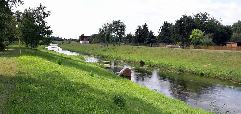 Wehe so handelt ein Privatmann (Foto: Karl-Heinz Herrmann) Wehe so handelt ein Privatmann (Foto: Karl-Heinz Herrmann)