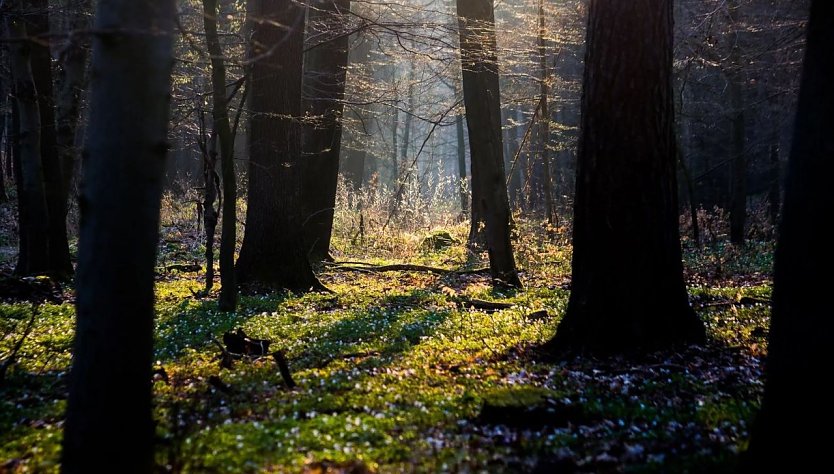 Das Wetter 2016 (Foto: Gernot Thelemann)