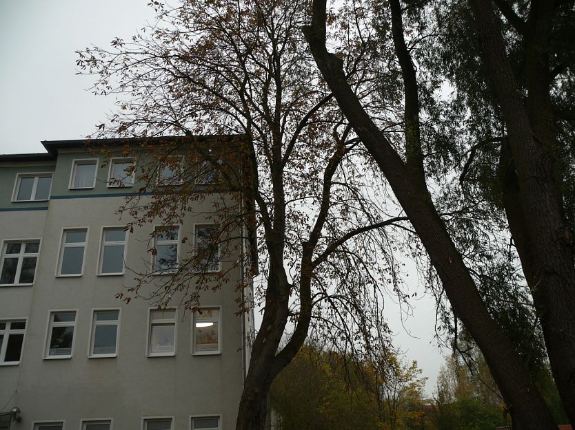 Haus Emmaus (Foto: Ilka Kühn) Haus Emmaus (Foto: Ilka Kühn)