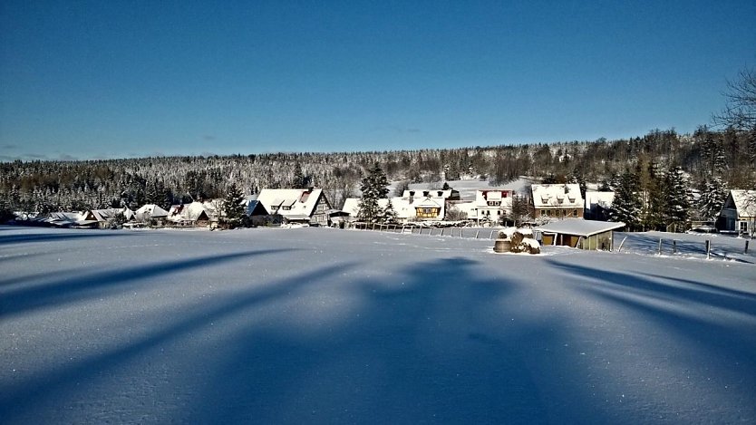 Rothes&uuml;tte im Schnee (Foto: Uwe Pf&ouml;rtner)
