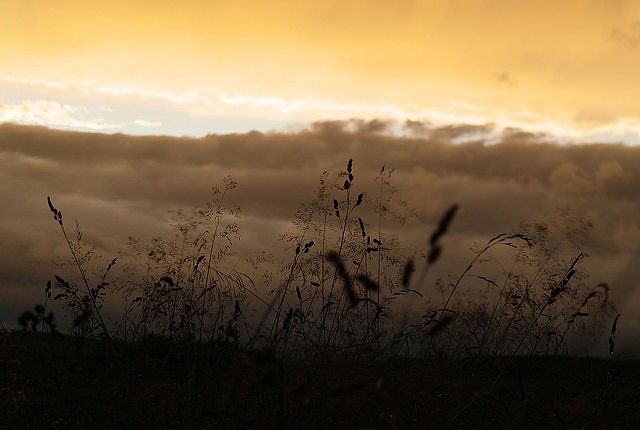 Wetterbild (Foto: Gernot Thelemann)