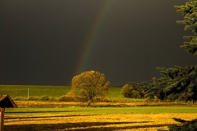 Wetterbild (Foto: Gernot Thelemann)