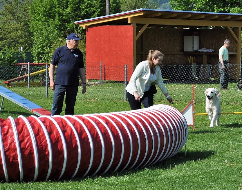 ABC Hundeschule (Foto: ABC Hundeschule)