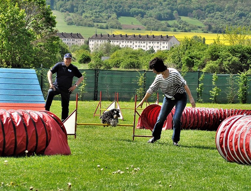 ABC Hundeschule (Foto: ABC Hundeschule)