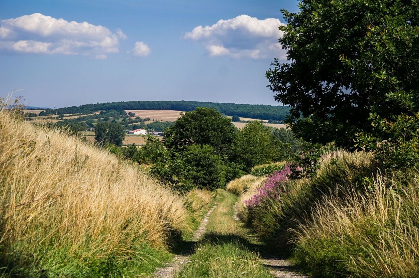 Wetter-Bild (Foto: Gernot Thelemann)