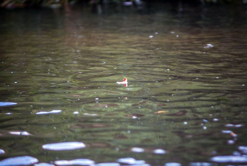 Dauerregen könnte möglich sein (Foto: Gernot Thelemann)