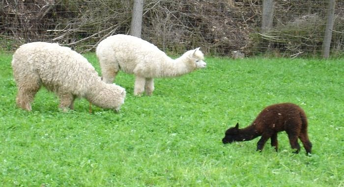 Wieder Zuhause (Foto: Archiv KN) Wieder Zuhause (Foto: Archiv KN)