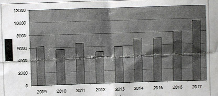 Gut besuchtes Familienfest (Foto: Karl-Heinz Herrmann)