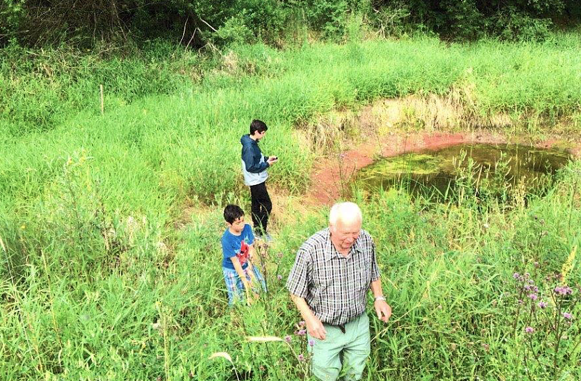 Wo findet man noch Amphibien? In diesem Feuchtbiotop, das Hartmuth Bauer ins Leben rief, sind zu heimisch geworden. Auch die Kinder freuen sich, wenn sie die Fr&ouml;sche quaken h&ouml;ren und Kammmolche beobachten (Foto: privat)