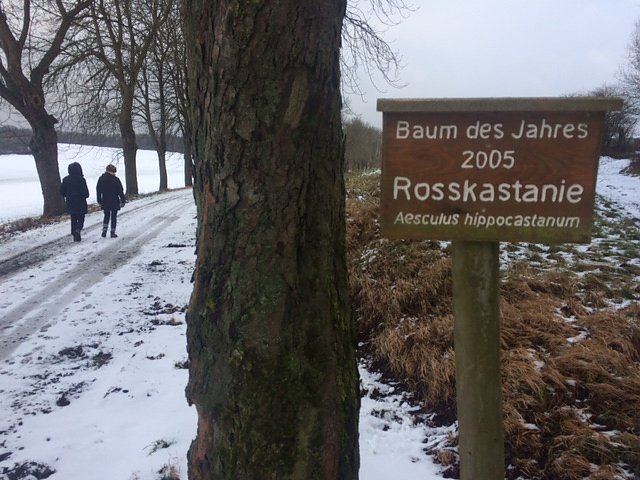 Neujahrswanderung (Foto: Norbert Sondermann) Neujahrswanderung (Foto: Norbert Sondermann)