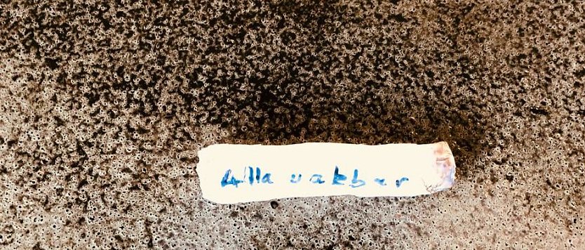 Mit Zellstoff umwickelt (Foto: privat)