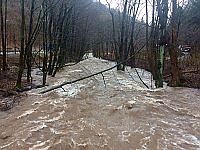 Die Beere bei Ilfeld (Foto: Susanne Schedwill) Die Beere bei Ilfeld (Foto: Susanne Schedwill)