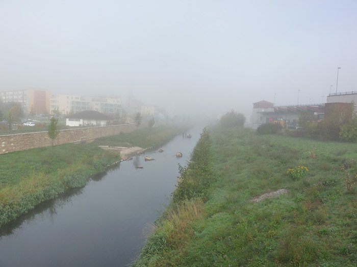 Elektrofischer auf der Wipper (Foto: Karl-Heinz Herrmann)