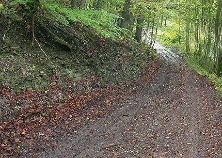 Zukünftiger Radweg? (Foto: Karl-Heinz Herrmann) Zukünftiger Radweg? (Foto: Karl-Heinz Herrmann)