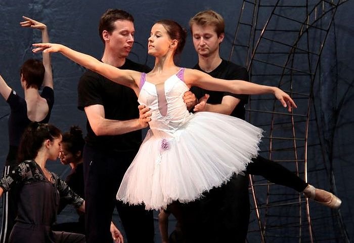 Probenbilder (Foto: T. Graner)