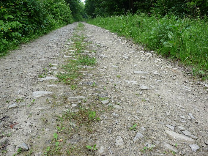 Weg durchs lange Kirchtal (Foto: Karl-Heinz Herrmann)